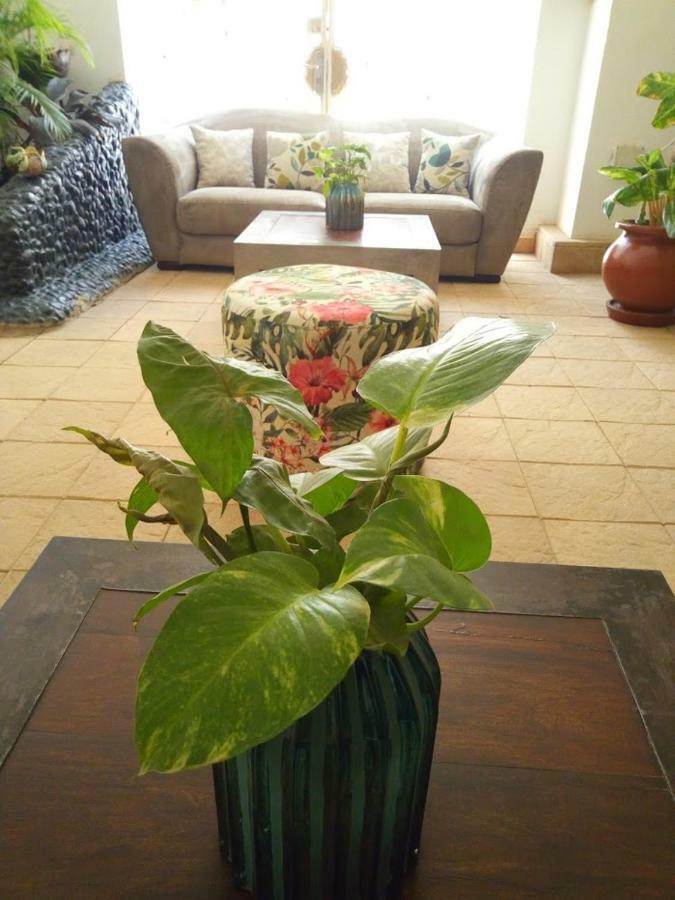Illiyin Boutique Hotel Dakar Kültér fotó